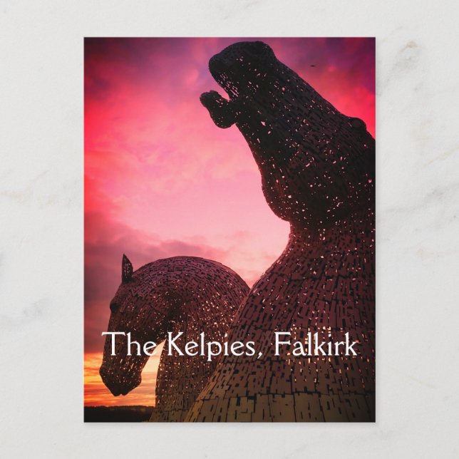 The Kelpies postcard, high horse-head sculptures Postcard (Front)