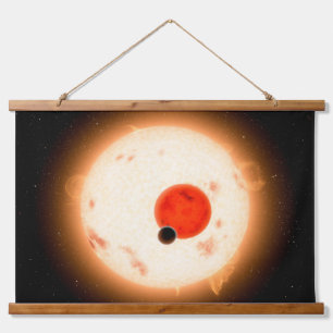 The Kepler-16 System. Hanging Tapestry