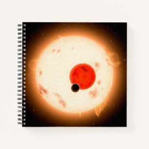 The Kepler-16 System. Notebook