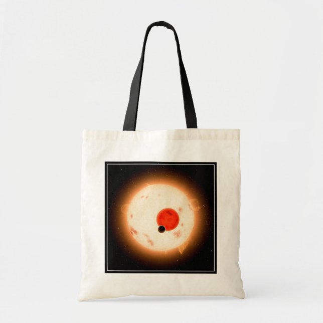 The Kepler-16 System. Tote Bag (Front)