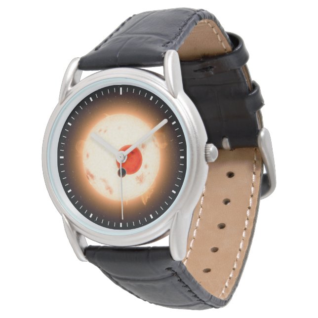 The Kepler-16 System. Watch (Angled)
