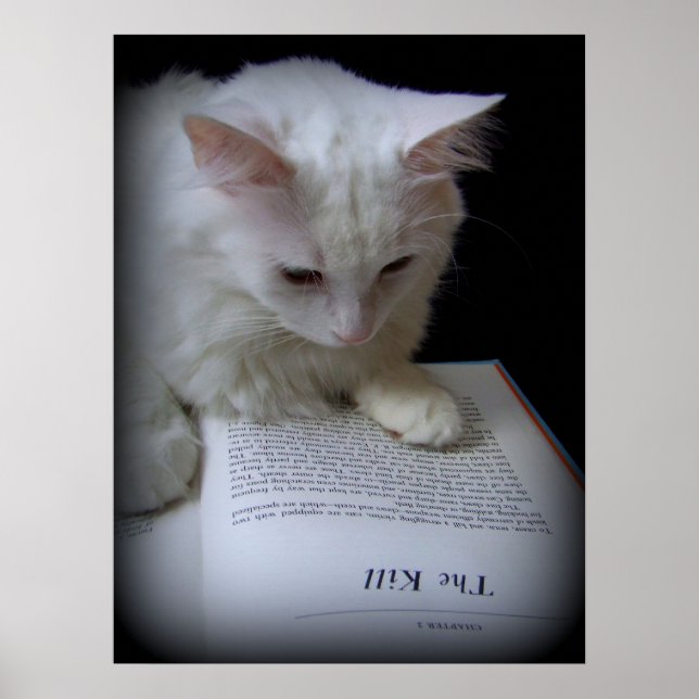 The Kill Poster (Front)