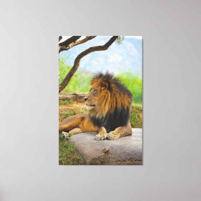 The King ! Canvas Print (Front)