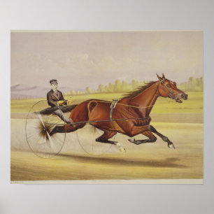 The King of the Turf, 'St. Julien', Driven by Orri Poster