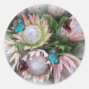 The King Protea  Classic Round Sticker