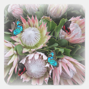 The King Protea Square Sticker