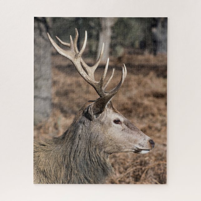 The King's Deer of Richmond Park, London, UK Jigsaw Puzzle (Vertical)