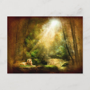 The King's Humility Postcard