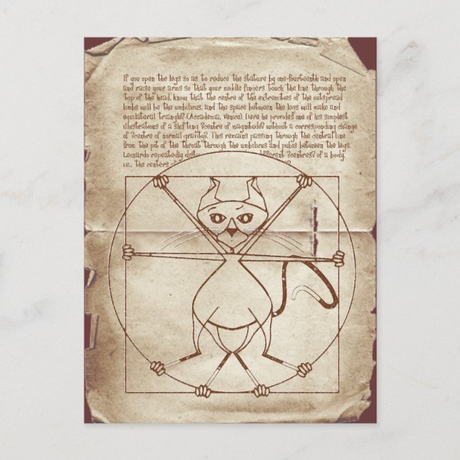 The Kinky Vitruvian Kitty Postcard (Front)