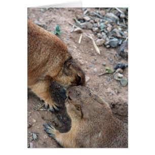 The Kiss Card Card-Customize It!