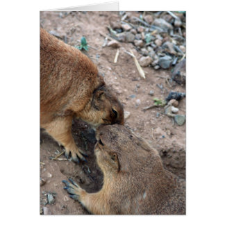 The Kiss Card Card-Customize It!