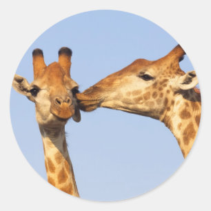 The Kiss Classic Round Sticker