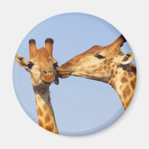 The Kiss Magnet