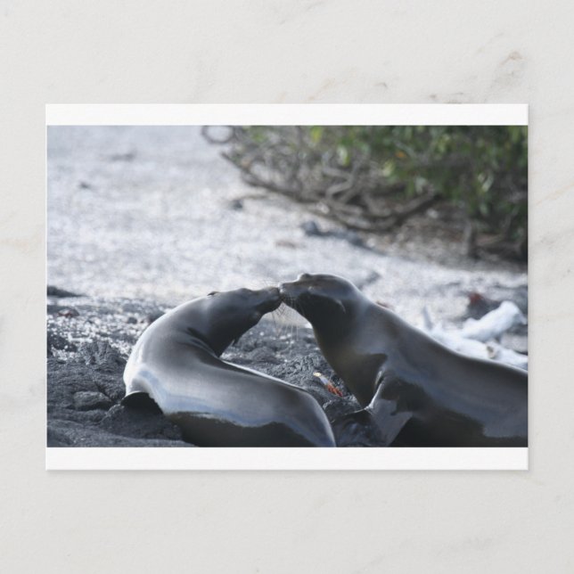 The kiss postcard (Front)