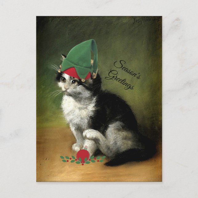 The Kitten, Old-Fashioned Christmas Holiday Postca Postcard (Front)