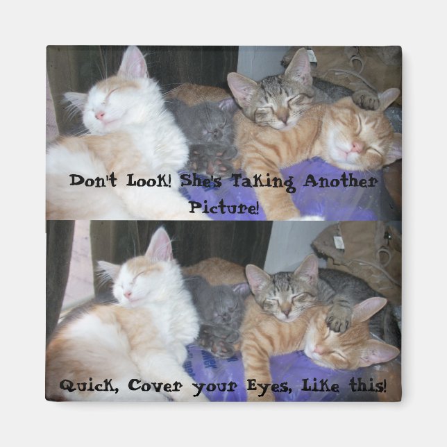 The Kittens -aka The Boys - funny pics Magnet (Front)