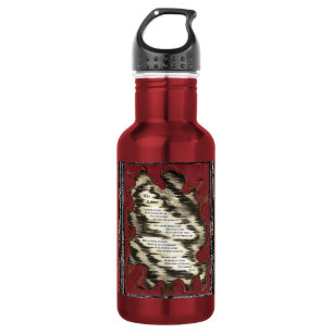 The Ladder Aluminum Water Bottle