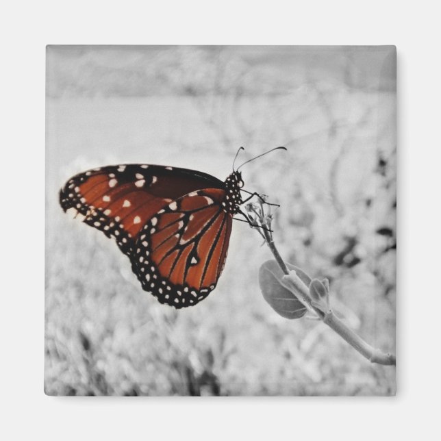 The lady at the lake magnet (Front)