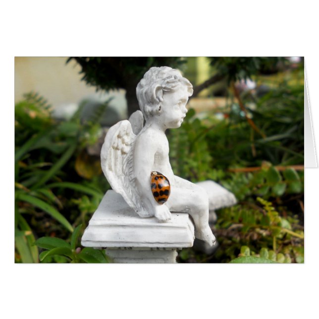 The Ladybug and the Cherub (Front Horizontal)