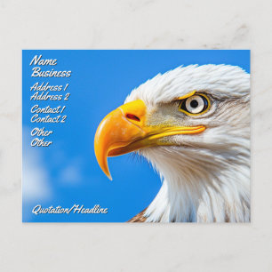 The Land of the Free, Home of the Brave Postcard