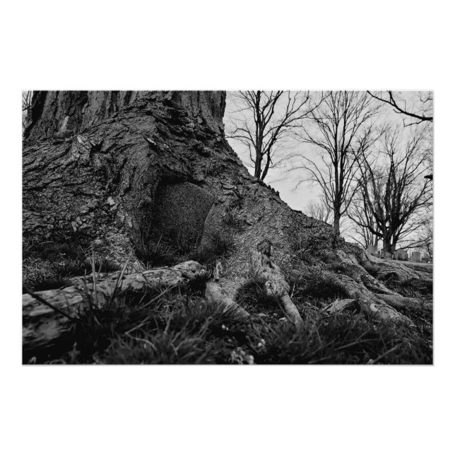 the land takes back poster (Front)