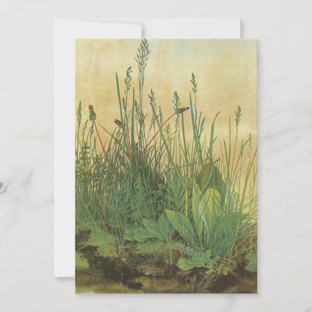 The Large (Great) Piece of Turf by Albrecht Durer (Front)