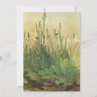 The Large (Great) Piece of Turf by Albrecht Durer