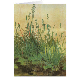 The Large (Great) Piece of Turf by Albrecht Durer