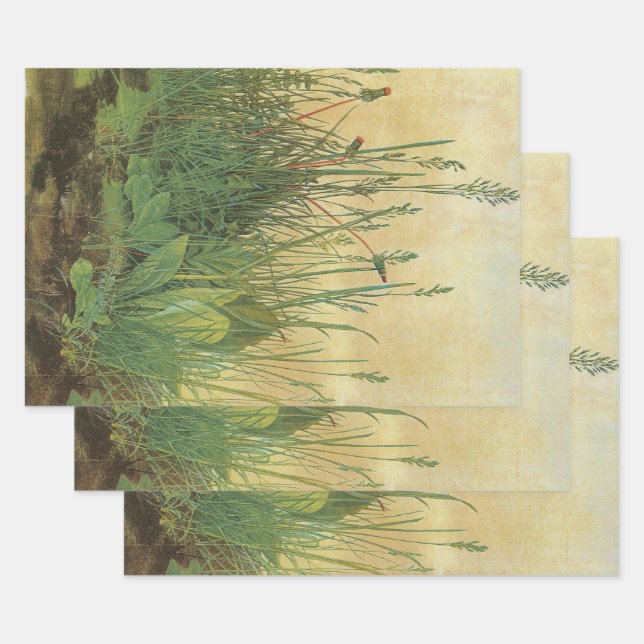 The Large (Great) Piece of Turf by Albrecht Durer Wrapping Paper Sheet (Set)