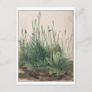 The Large Piece of Turf by Albrecht Durer Postcard