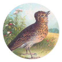 "The Lark" Vintage Illustration