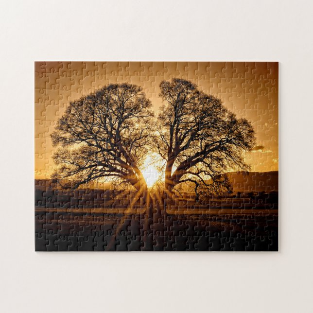 The Last Burst of Sunset - 11x14 - 252 pcs. Jigsaw Puzzle (Horizontal)