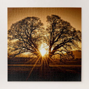 The Last Burst of Sunset - 20x20 - 676 pcs. Jigsaw Puzzle