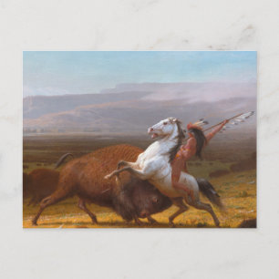 The Last of the Buffalo Postcard
