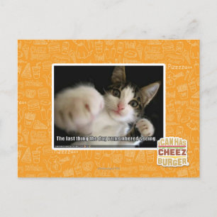 The last thing postcard