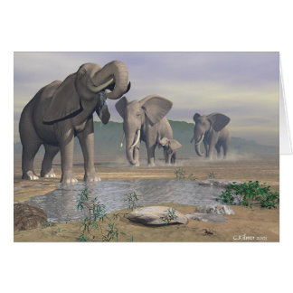 The Last Watering Hole