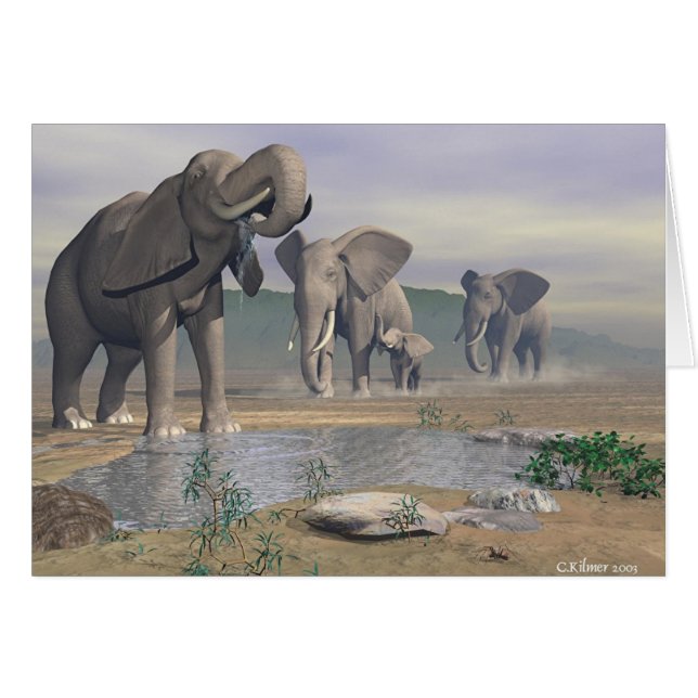 The Last Watering Hole (Front Horizontal)