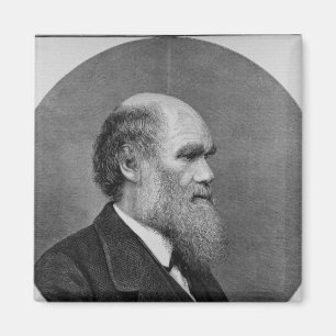 The Late Mr C. R. Darwin, FRS, LLD Magnet