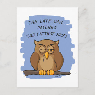 The Late Owl Catches The Fattest Mice! Postcard