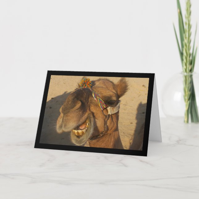 The Laughing Camel Card (Front)