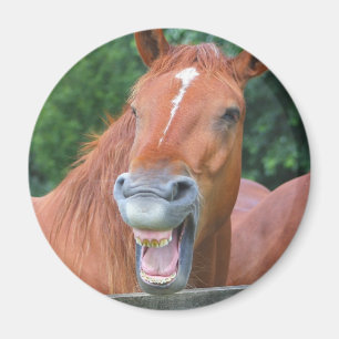 The Laughing Horse Magnet