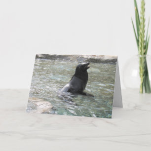 The Laughing Seal Greeting Cared Card
