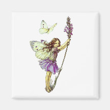 “The Lavender Fairy”