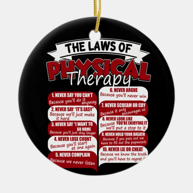 The Laws Of Physical Therapy Awesome Therapist Ceramic Ornament (Front)
