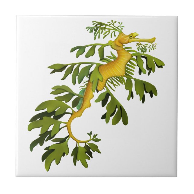 The Leafy Sea Dragon Art Tile (Front)