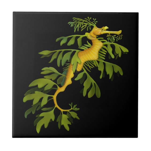 The Leafy Sea Dragon Seahorse Tile (Front)