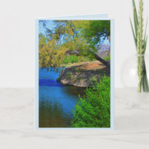 The Leaning Tree 5 x 7 Card