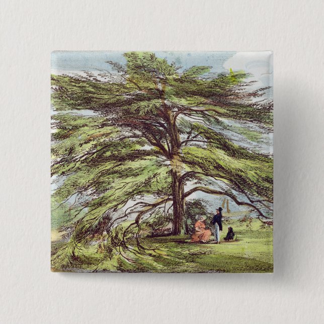 The Lebanon Cedar Tree in the Arboretum, Kew Garde 2 Inch Square Button (Front)