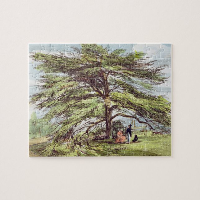 The Lebanon Cedar Tree in the Arboretum, Kew Garde Jigsaw Puzzle (Horizontal)