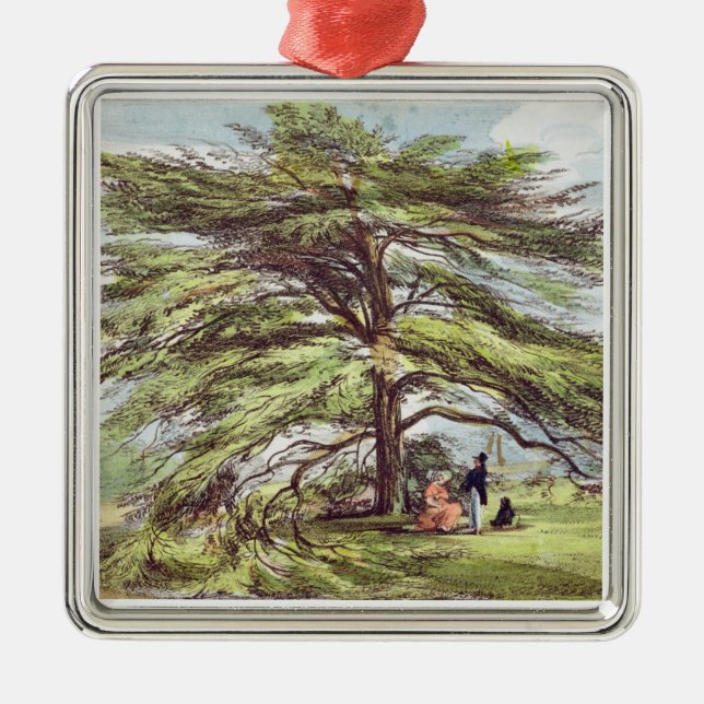 The Lebanon Cedar Tree in the Arboretum, Kew Garde Metal Ornament (Front)